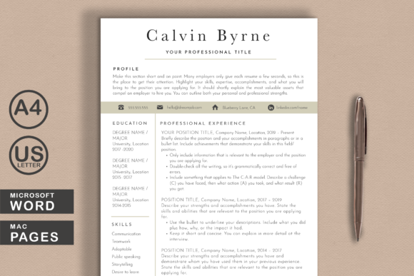 Download Clean Resume Template Word Pages - Resume template Collection