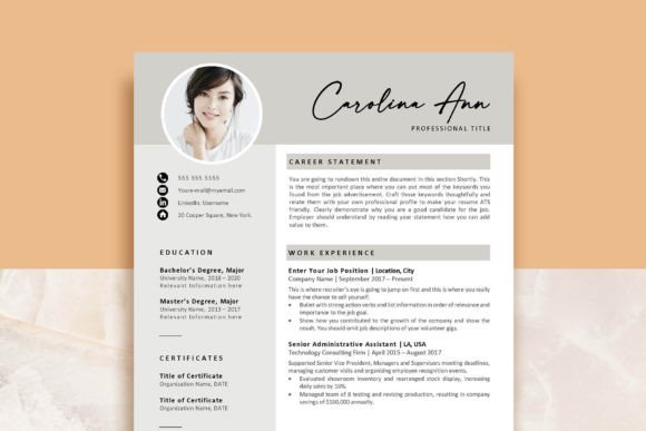 Download Professional Resume Template - Resume template Collection